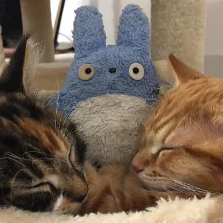 Image of Ryota Sawada